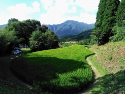 田んぼから後ろを振り返ると、こんな感じの景色が広がっていました。