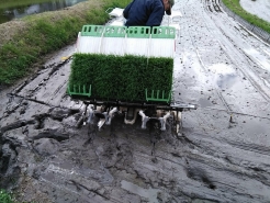 田植え機が動く様子を初めて見ましたが、人間の手と同じような動きが非常に細かく再現されているのが分かります。