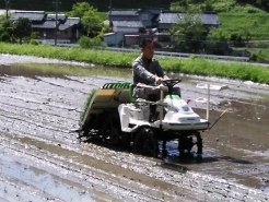 ちょっと田植えを体験させていただきました。ラインがずれないように田植え機を制御するのが難しい・・・。写真にはありませんが、この後機械でできない範囲を手で植えました。途中、倒れている苗や浮いている苗をさしなおしつつ、奥まで進んでいきます。