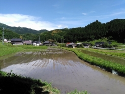 人生初の田植え、無事終了です。お疲れ様でした！！