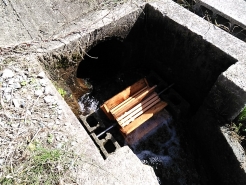 社コミュニティハウスの近くの水路で、小さな水車を見つけました。中には栗が入っているようで、ガイドツアー参加者も集まって注目していました。