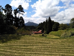 天気は快晴で、櫃ヶ山が綺麗に見えました。