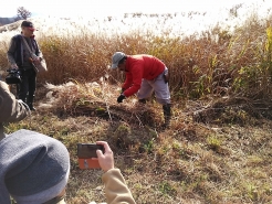 ２日目は、茅刈り講習会です。蒜山の茅場へ移動し、刈り取りから束ねるまでの技術をレクチャーして頂きました。