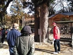 佐波良・形部神社境内の縁結びの木についてもしっかりＰＲ！！