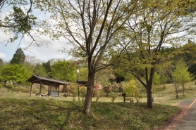 自然いっぱいでゆったりくつろげます。