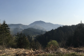 20年4月28日の朝です。