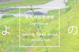 電気柵の設置体験参加者募集