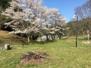 直火でキャンプファイヤーもできます。