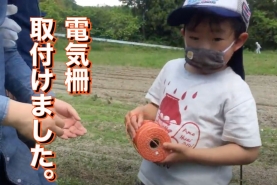 電気柵、完成しました！