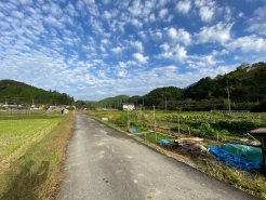 お昼から晴れていい感じの雲が