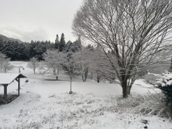 雪景色です。